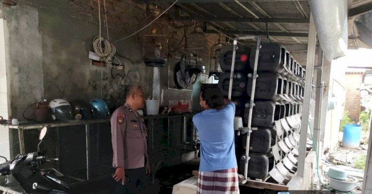 Inovasi dalam Ketahanan Pangan, Warga Desa Kedungpeluk Budidayakan Kepiting Bakau di Jerigen